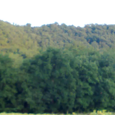 Au Chemin De Soueges *